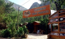 turkmen tree houses