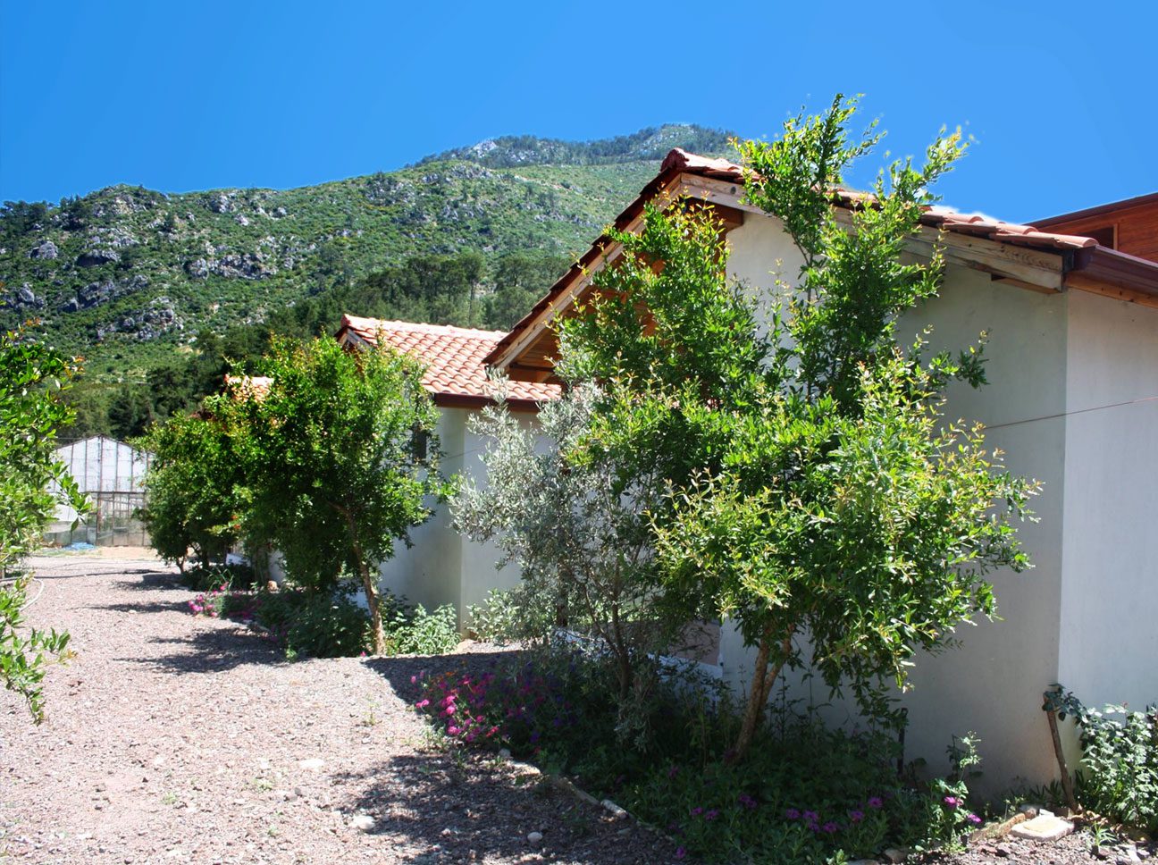 olimpos_vadi_houses_14